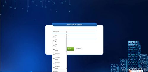 基于SpringBoot与Vue的销售信息管理系统设计与实现——计算机软硬件开发与销售行业解决方案