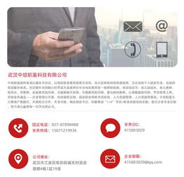 河南幼师资格证报考指南，兼谈职业技能培训与计算机行业